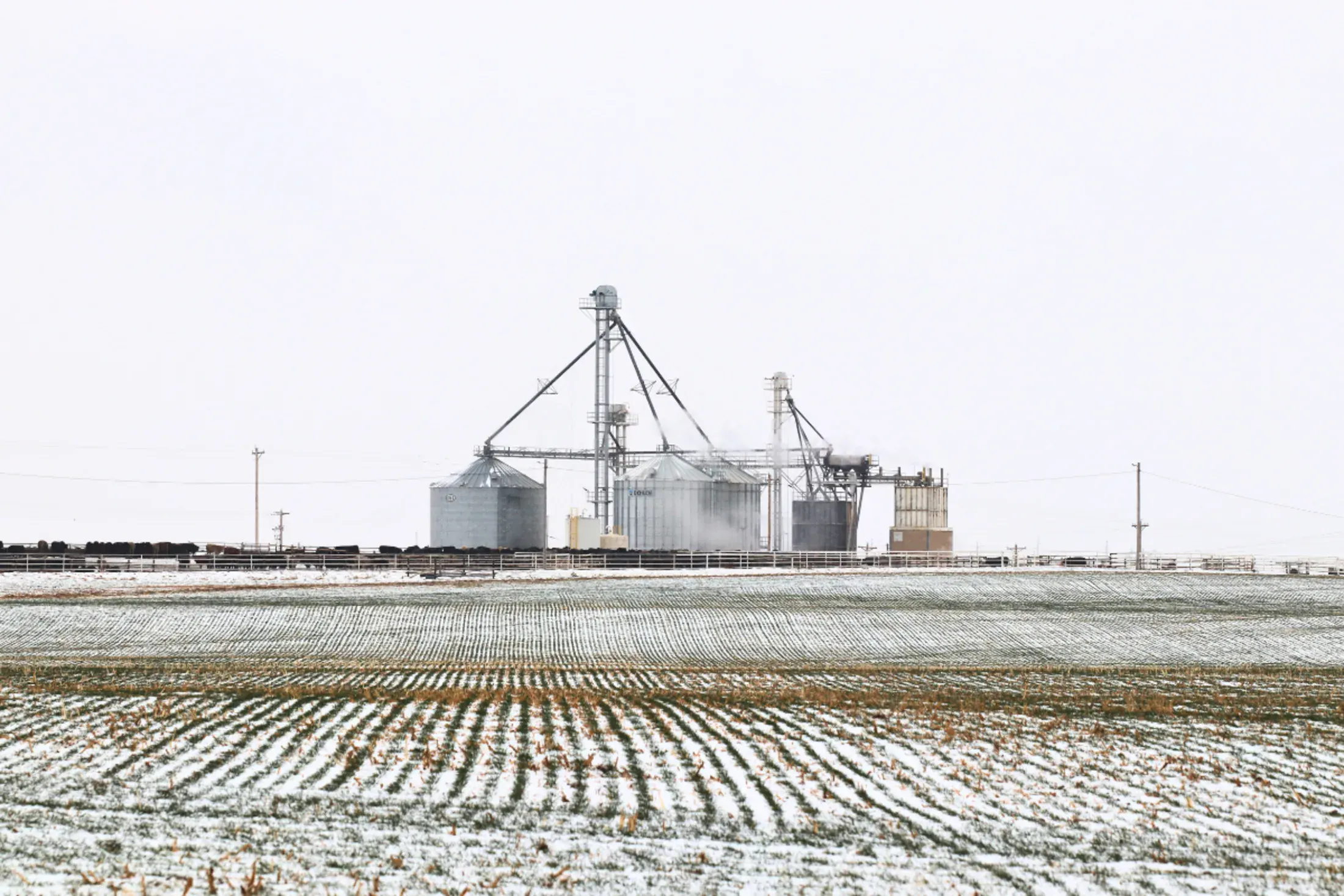 Wilroads Feed Yard facility in winter