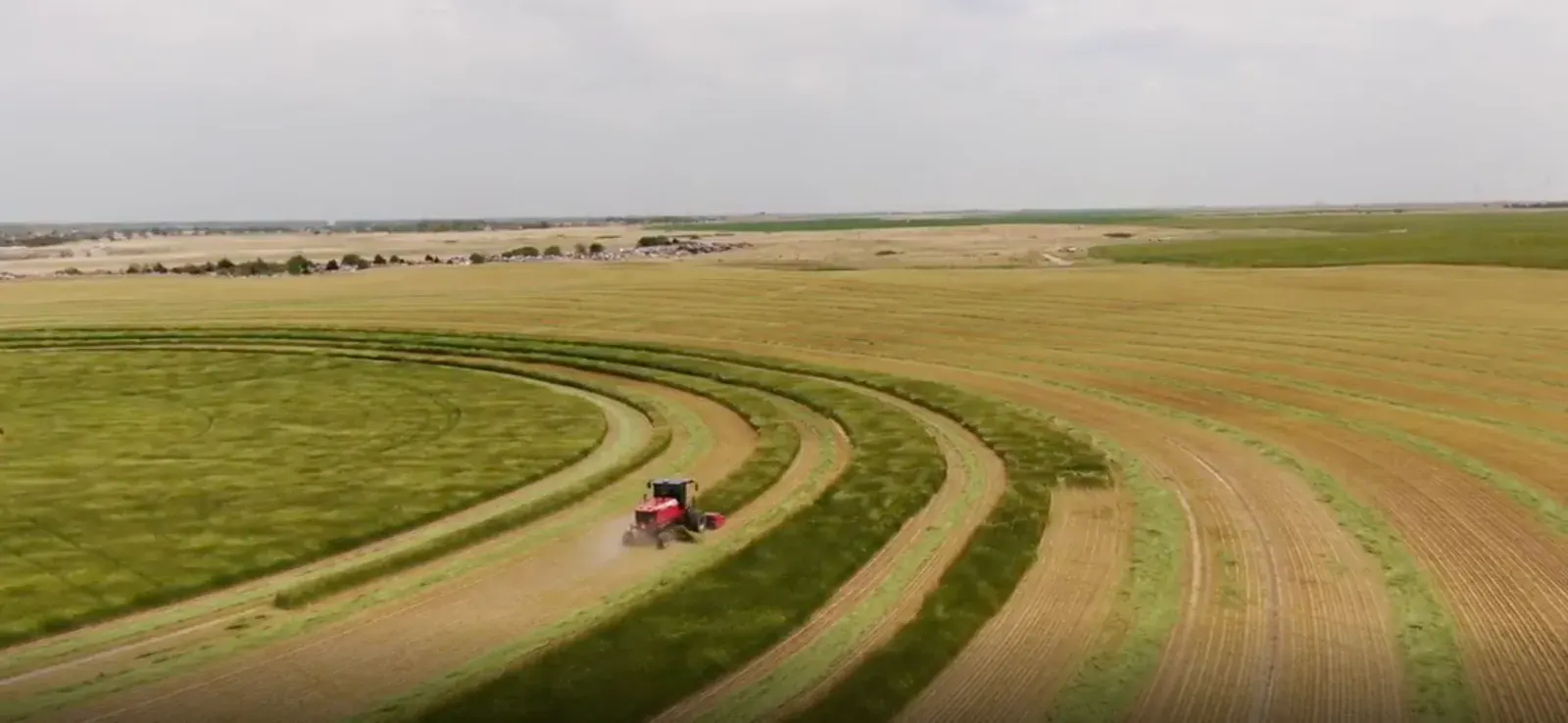 Field and Wilroads Feed Yard facility overview