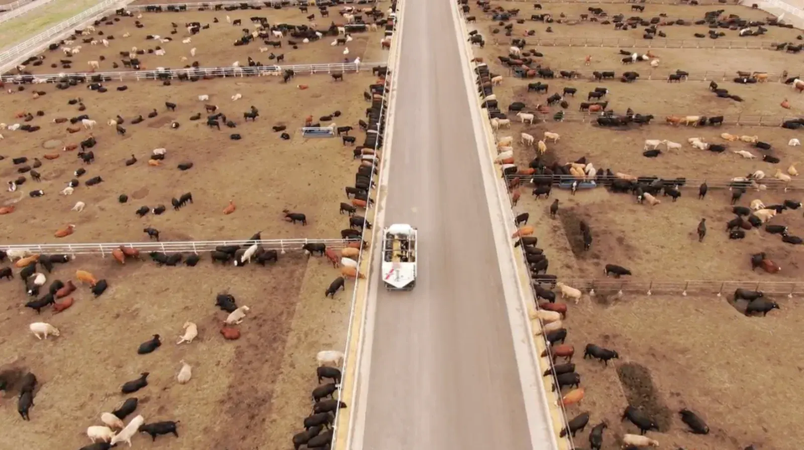 Wilroads Feed Yard truck and facility expansion context