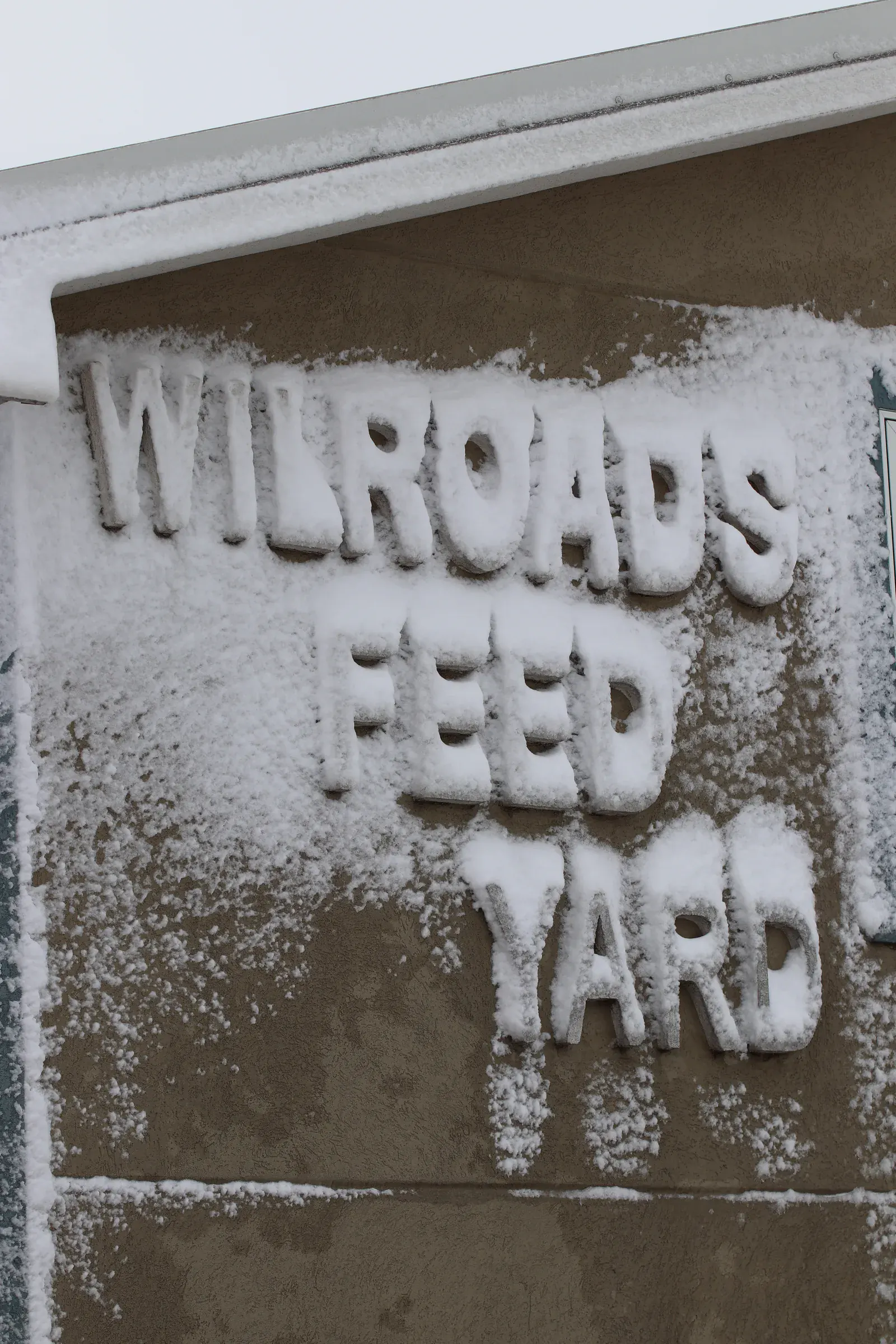 Aerial view over Wilroads Feed Yard pens