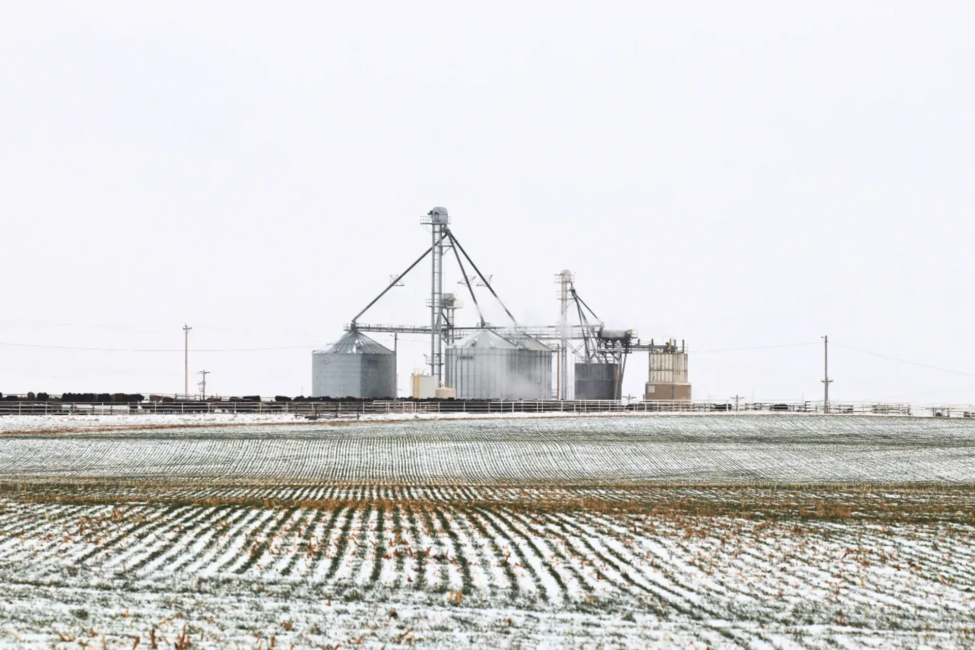 Wilroads Feed Yard facility in winter